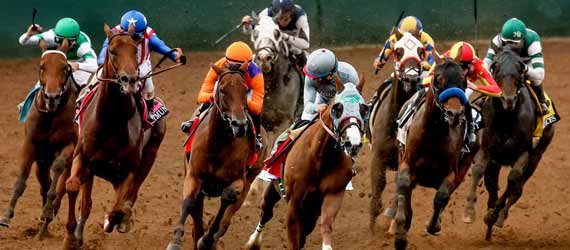 entries for santa anita park