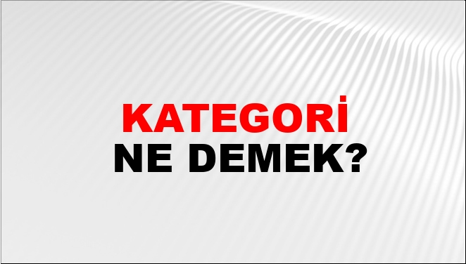 kategori ile cümle