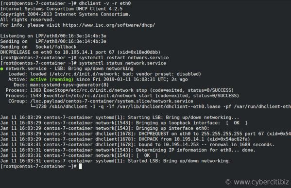 debian renew dhcp lease