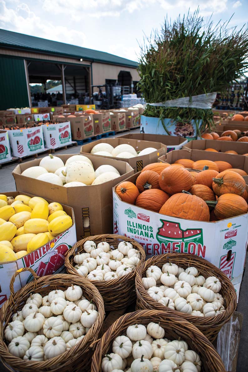 produce auction west salem ohio