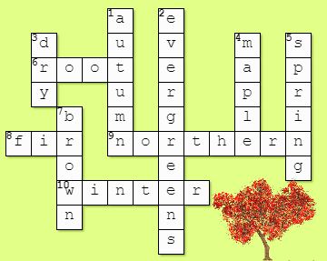 deciduous tree crossword clue