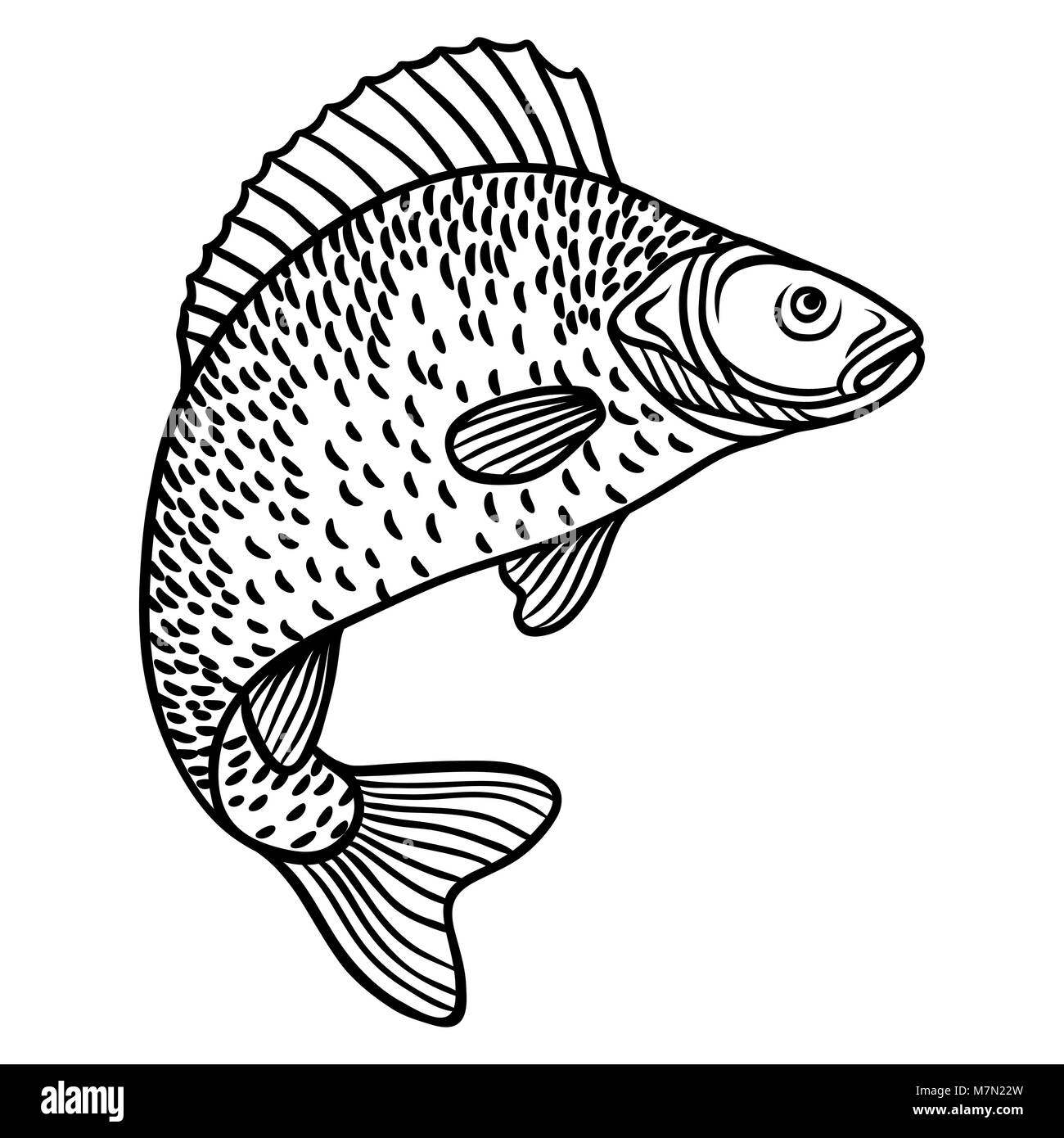 decorative fish drawing