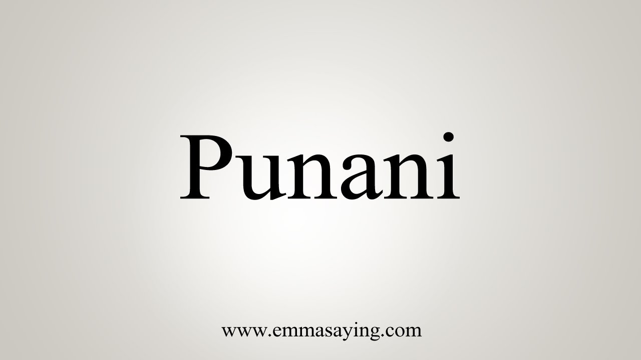 define punani