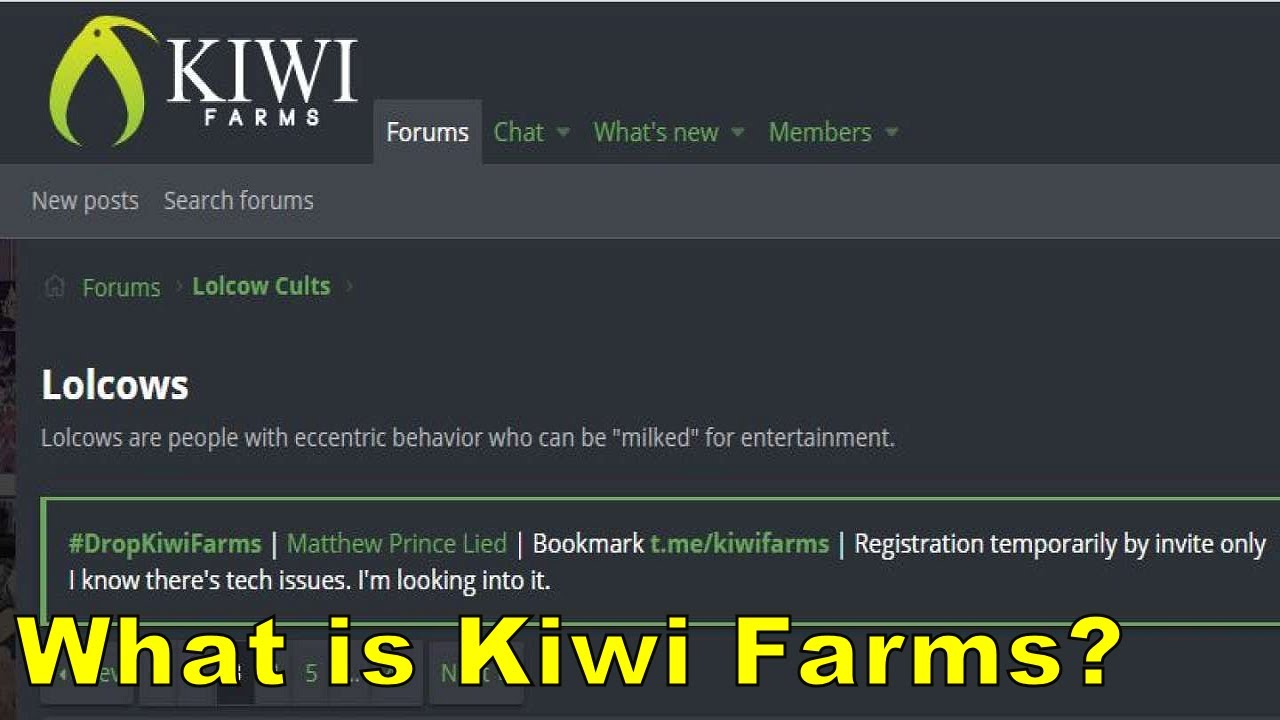 destiny kiwi farms