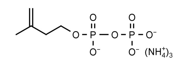 diphosphate