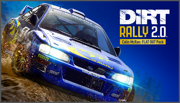 dirt rally 2.0 multiplayer