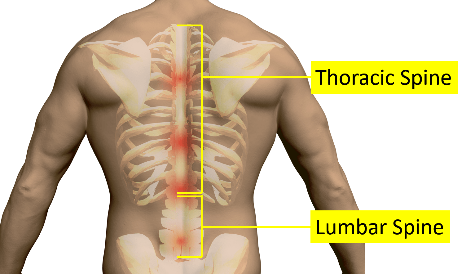 discomfort right side back under ribs