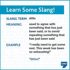 ditto meaning slang