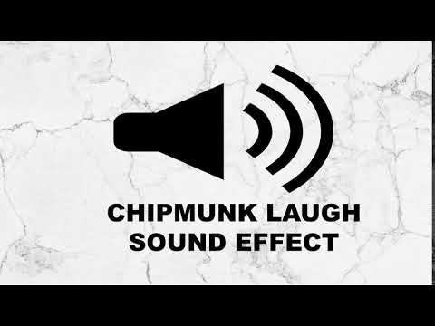 dj laughing sound effect