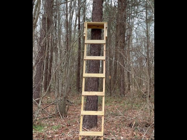 do it yourself tree stand