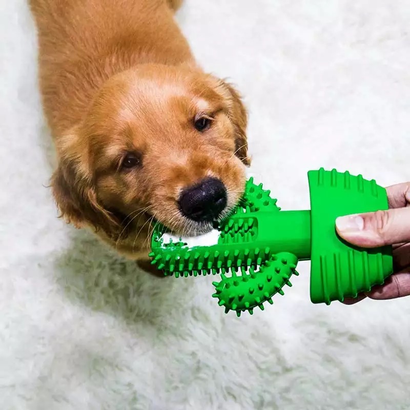 dog chew toothbrush