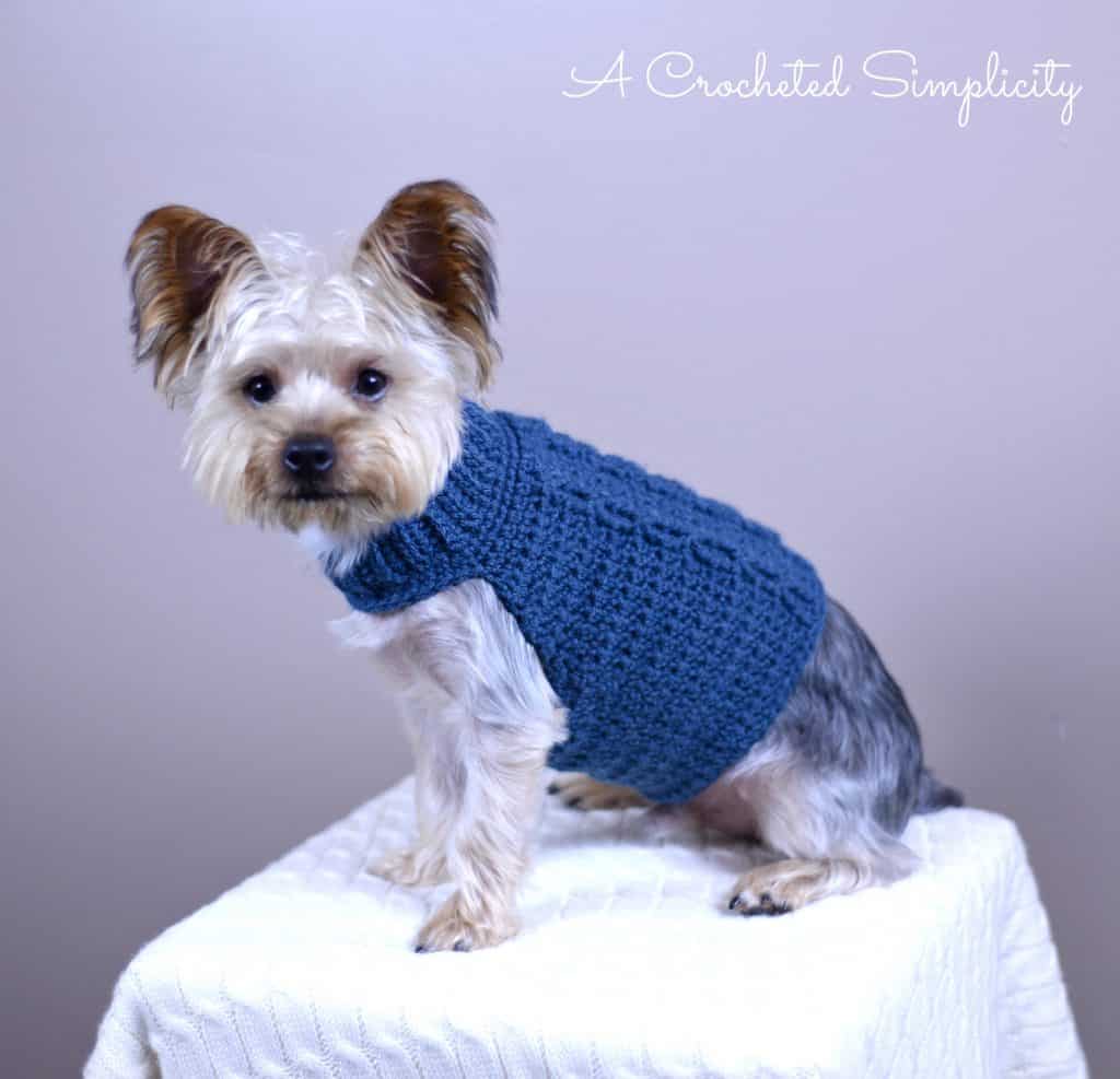 dog coat crochet pattern free