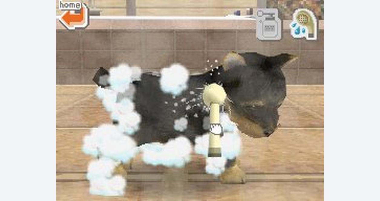 dog games for nintendo ds