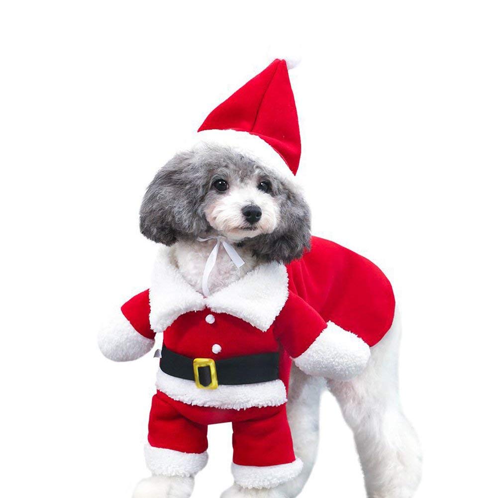 dog santa suit