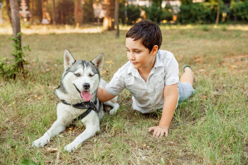 doggy boys