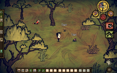 dont starve