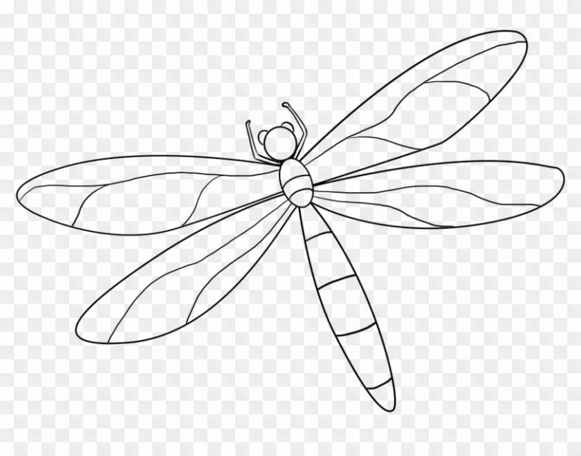 dragonfly clipart