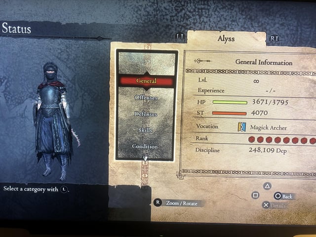 dragons dogma stats