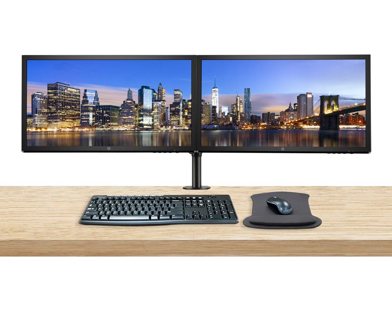 dual monitor bundle