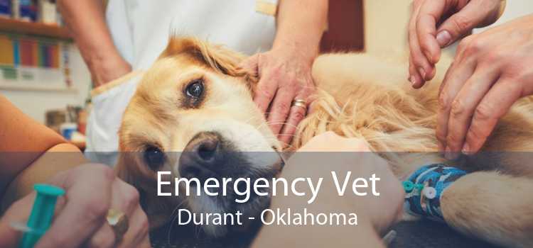 durant vet clinic