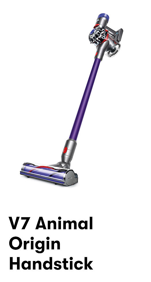 dyson big w