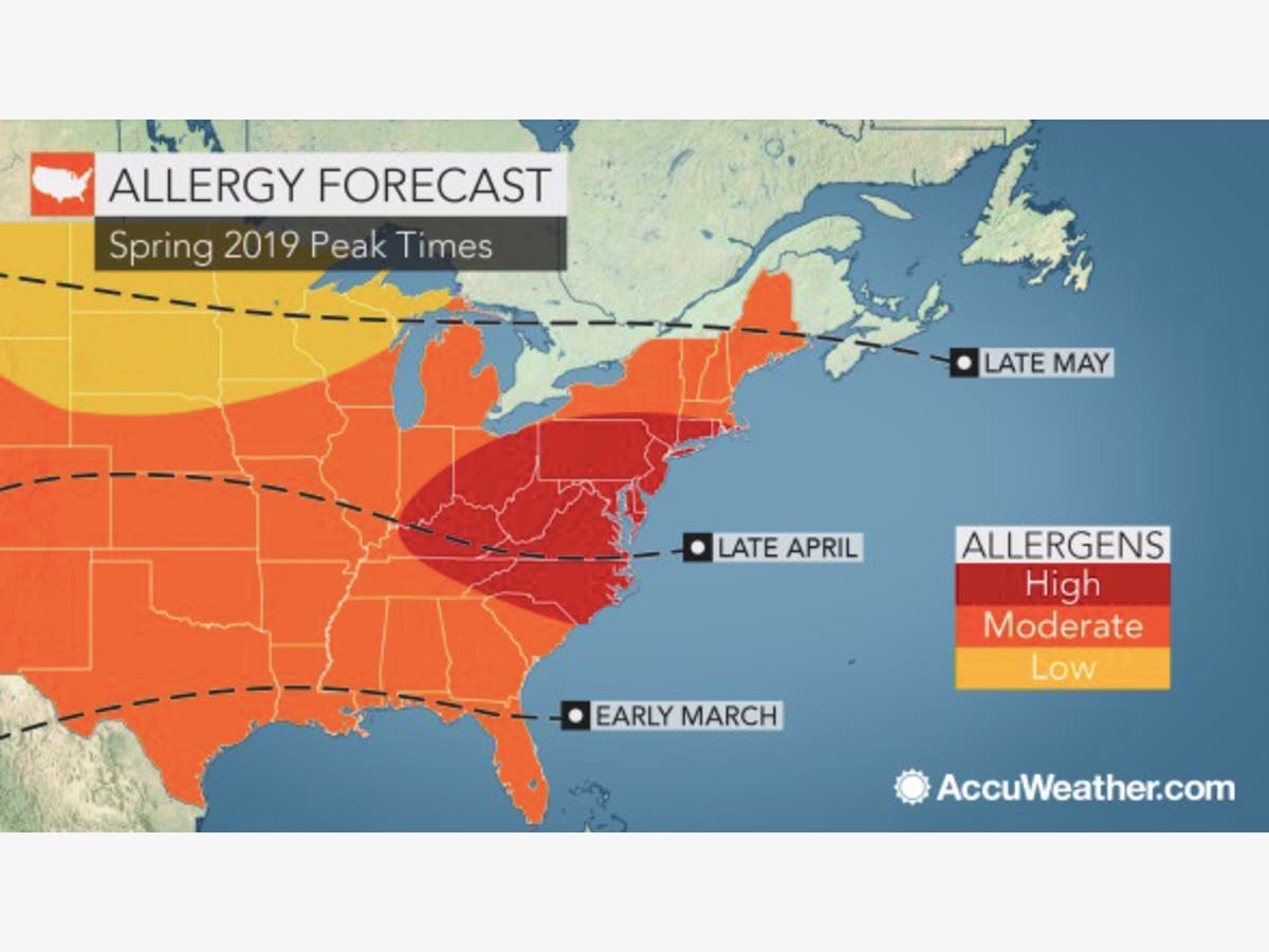 allergy forecast