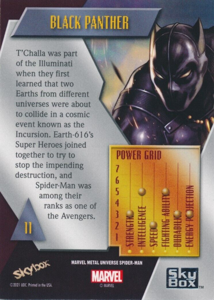 black panther power grid