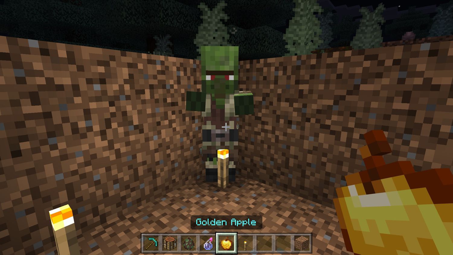 how to turn zombie villager back