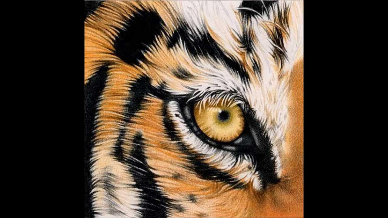 eye of the tiger yt