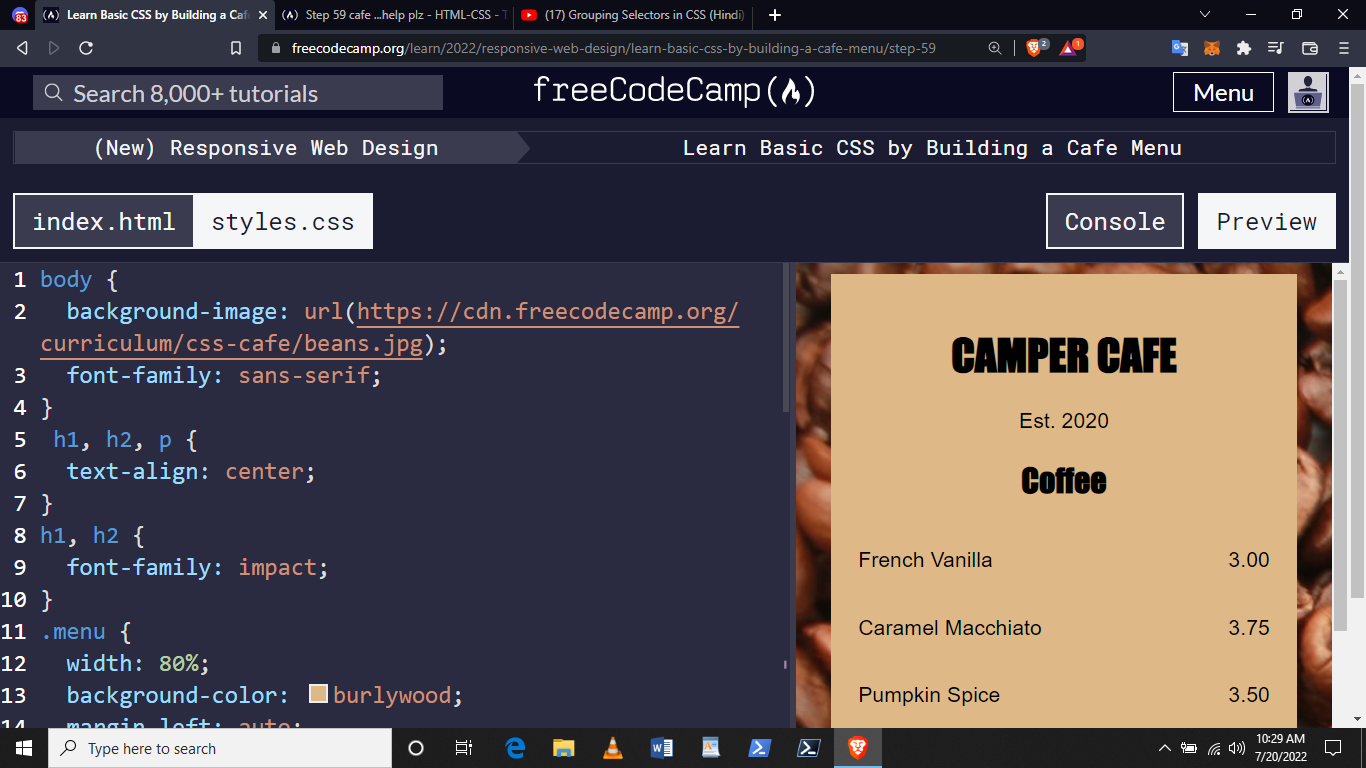 freecodecamp css