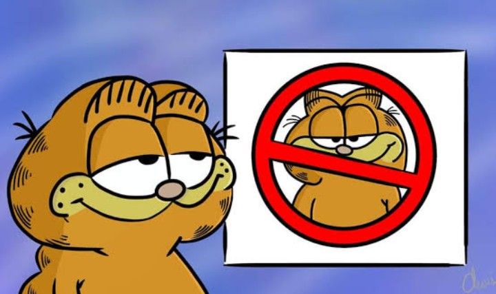 garfield meme prohibido