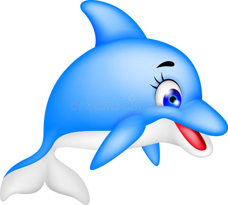 dolphin cartoon pic