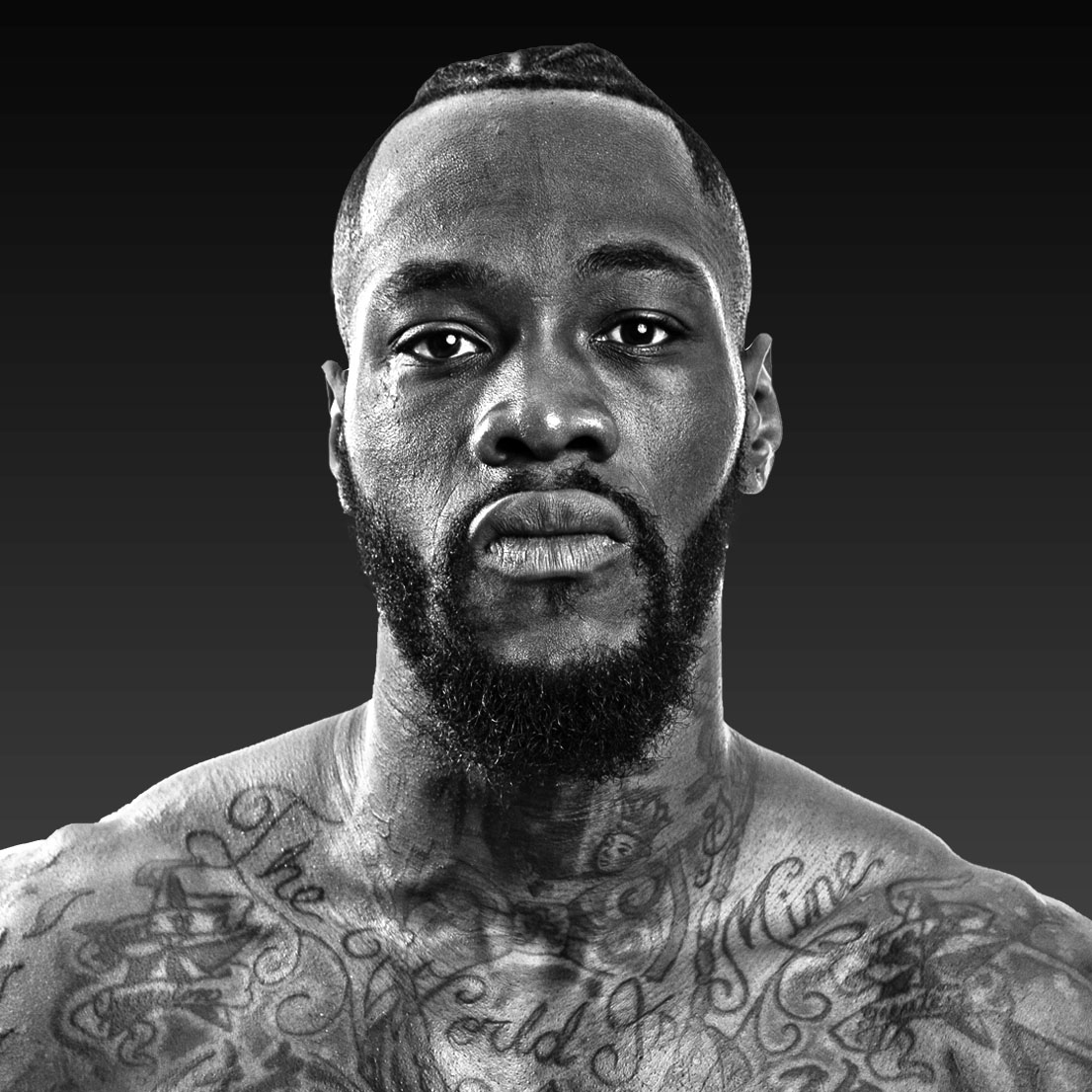 wilder boxing next fight