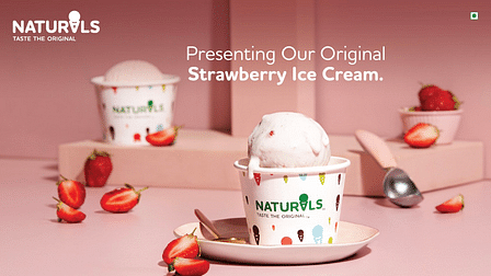 naturals ice cream home delivery