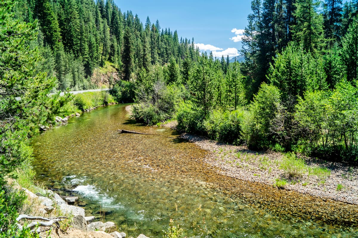 wallowa whitman national forest