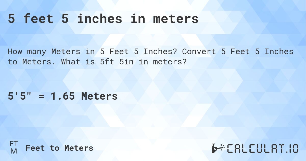 what is five meters in feet