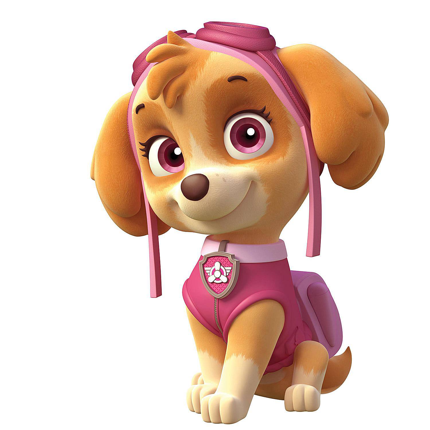 paw patrol cartoons