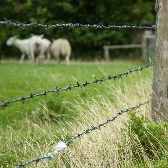 iron fencing wire