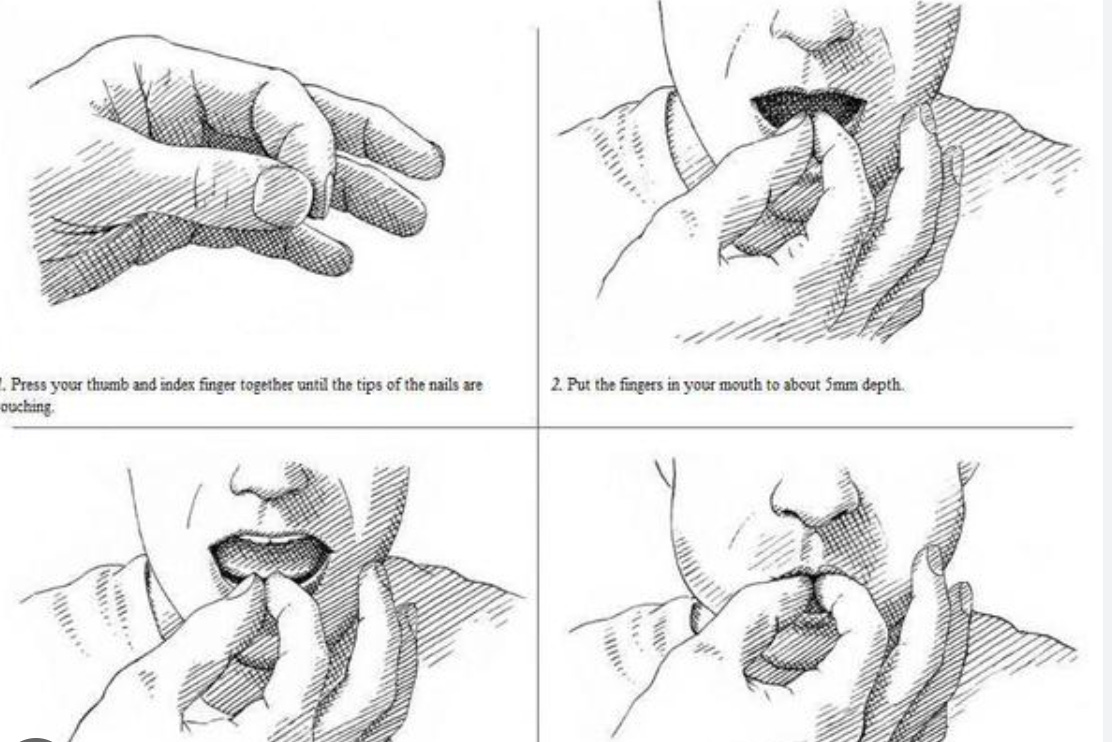 how to whistle two fingers