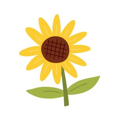 sun flower clipart