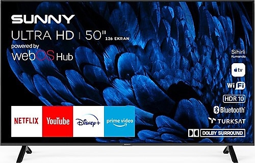 sunny smart tv netflix