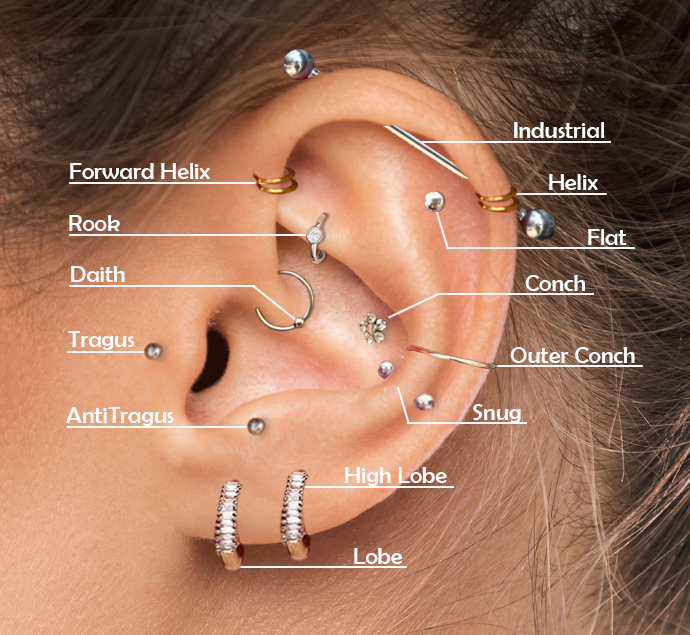 ear piercings chart