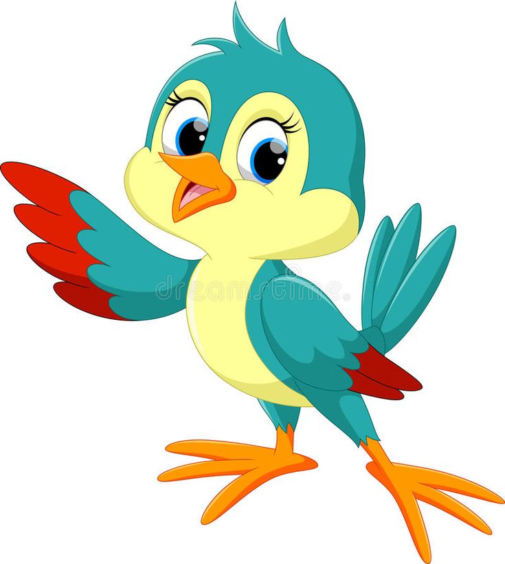 picture cartoon bird