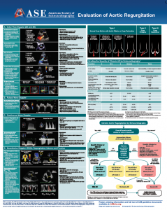 echocardiography poster