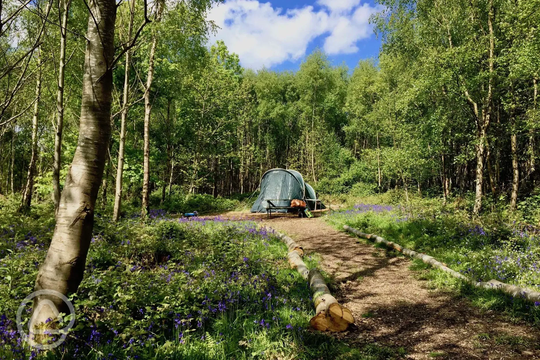 eco camp uk beech estate woodland campsite