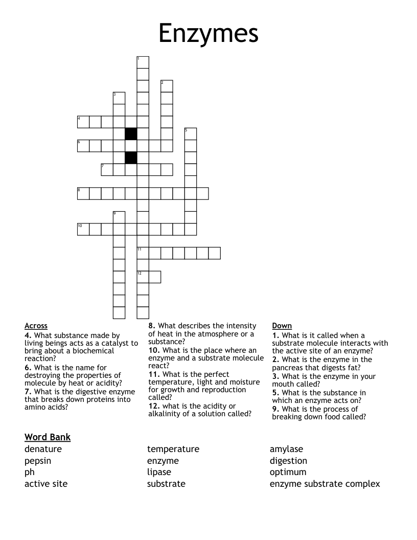 enzyme crossword clue