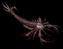 eurypterid ark