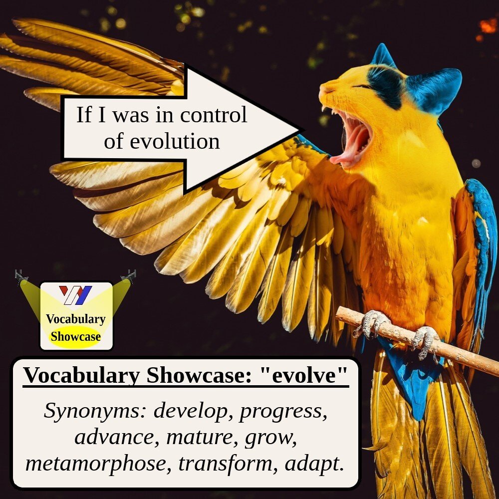 evolve thesaurus