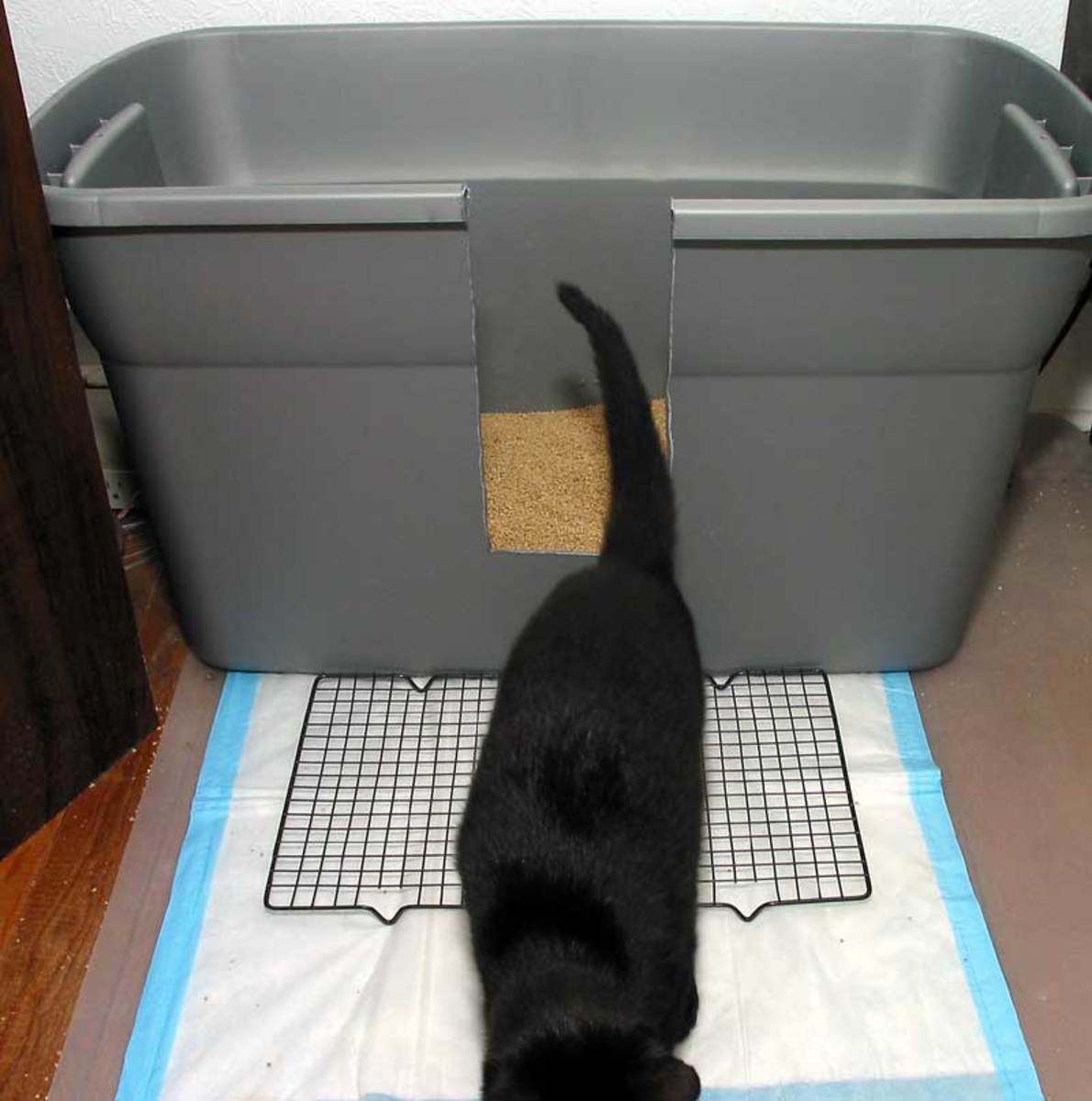 extra large litter box for big cats