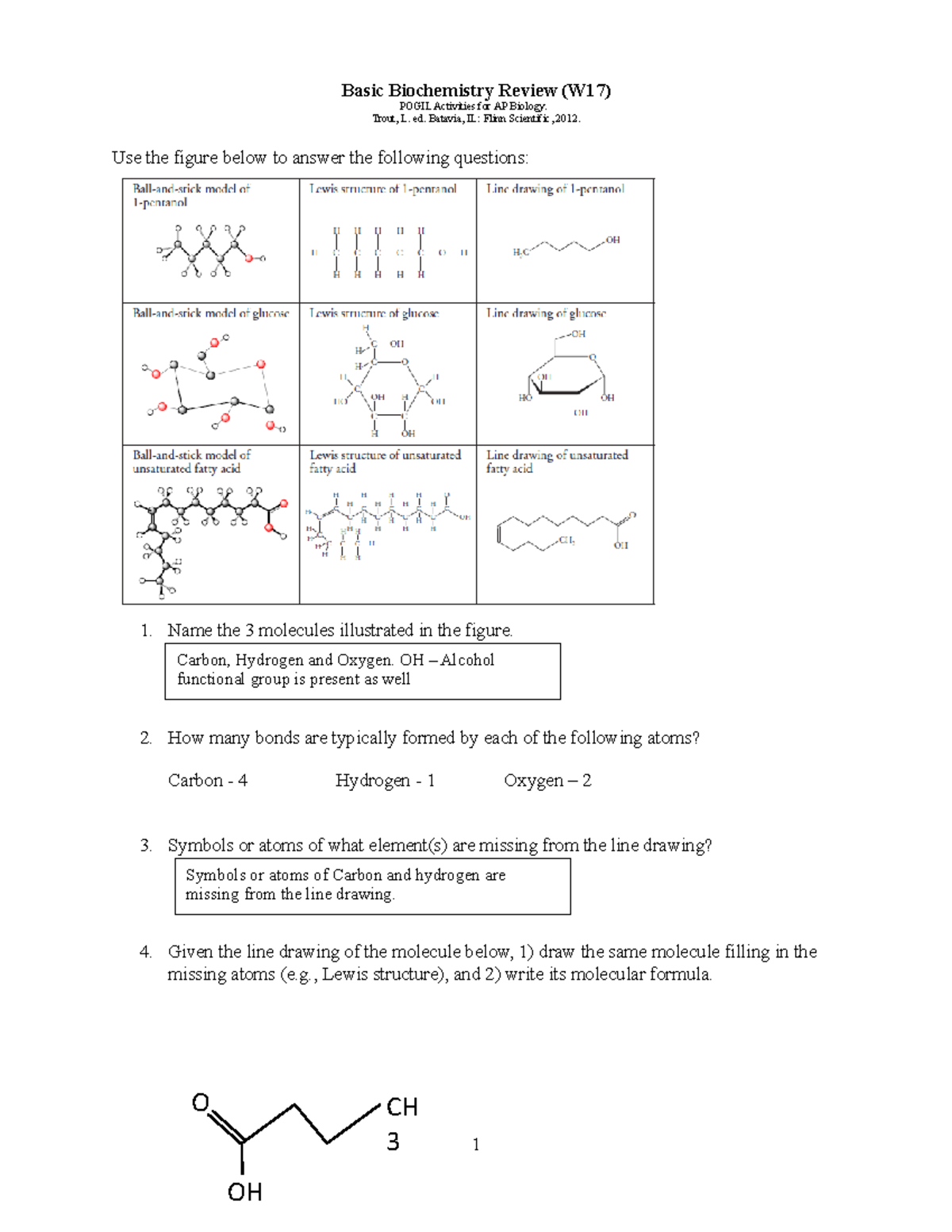 biochemistry basics pdf answers